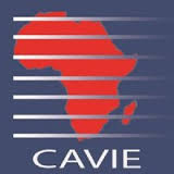 Centre Africain de Veille et d’Intelligence Économique 