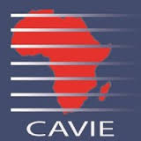 Centre Africain de Veille et d’Intelligence Économique Centre Africain de Veille et d’Intelligence Économique