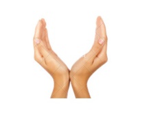 Développement Social du 20 au 24/11/2017 Développement Social du 20 au 24/11/2017