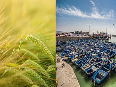 Agriculture et pêche du 08 au 12 Janvier 2018