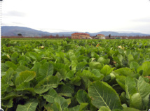 Développement Durable du 24 au 28 Décembre 2018 Développement Durable du 24 au 28 Décembre 2018