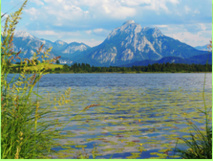 Développement Durable du 18 au 22 Mars 2019 Développement Durable du 18 au 22 Mars 2019