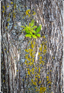 Développement Durable du 15 au 19 Avril 2019 Développement Durable du 15 au 19 Avril 2019