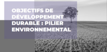 Rapport de veille sur les ODD, pilier environnemental, 2ème trimestre 2023 Rapport de veille sur les ODD, pilier environnemental, 2ème trimestre 2023