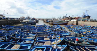 Veille Pêche Veille Pêche