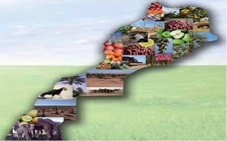 Veille Agriculture Veille Agriculture