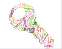 Maraacid : 11 Portails de veille Maraacid : 11 Portails de veille