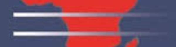 Centre Africain de Veille et d’Intelligence Économique