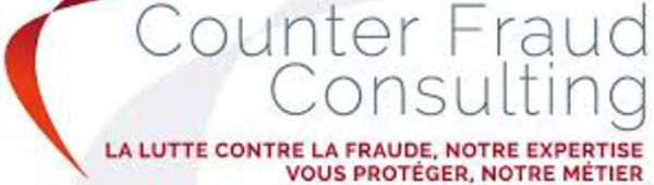 Counter Fraud Consulting