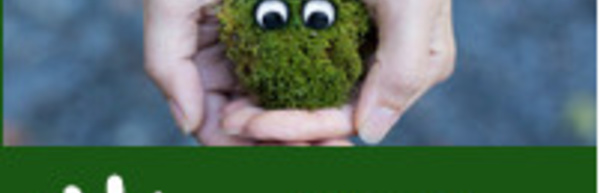 Développement Durable du 16 au 20 Septembre 2019